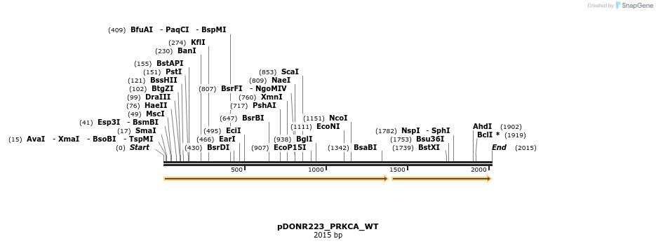155596_map
