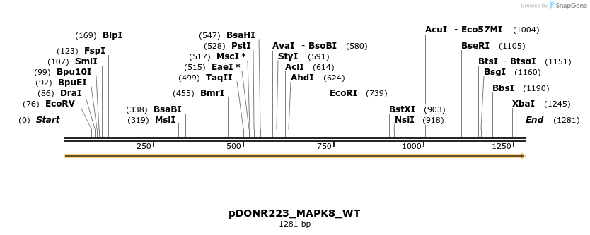155600_map