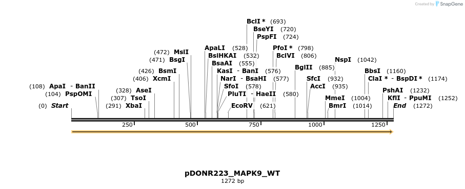 155601_map