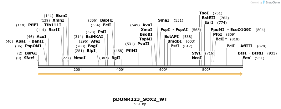 155604_map