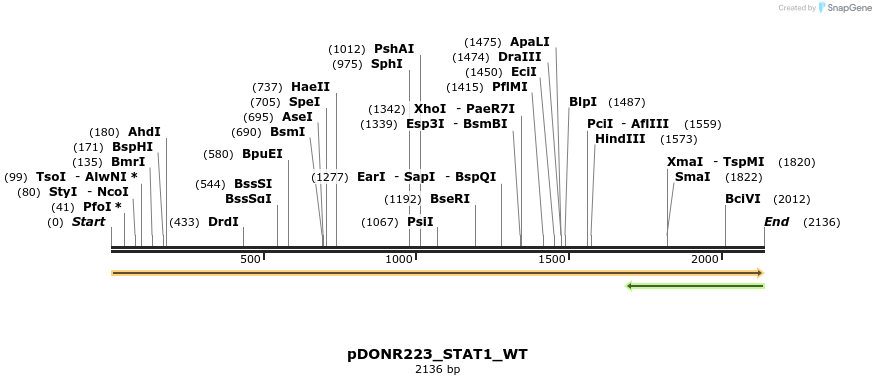 155605_map