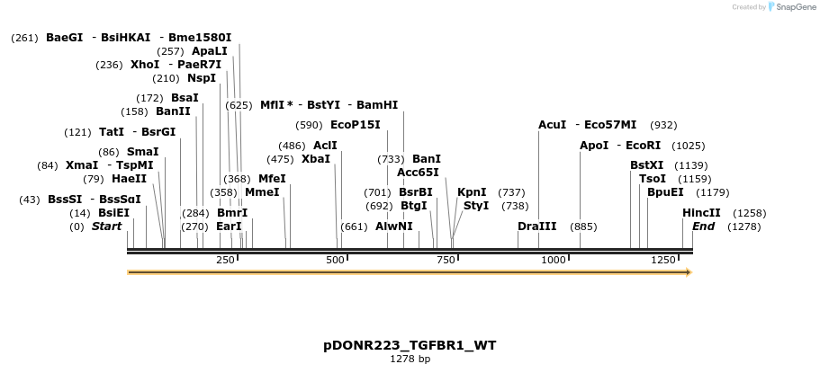 155608_map