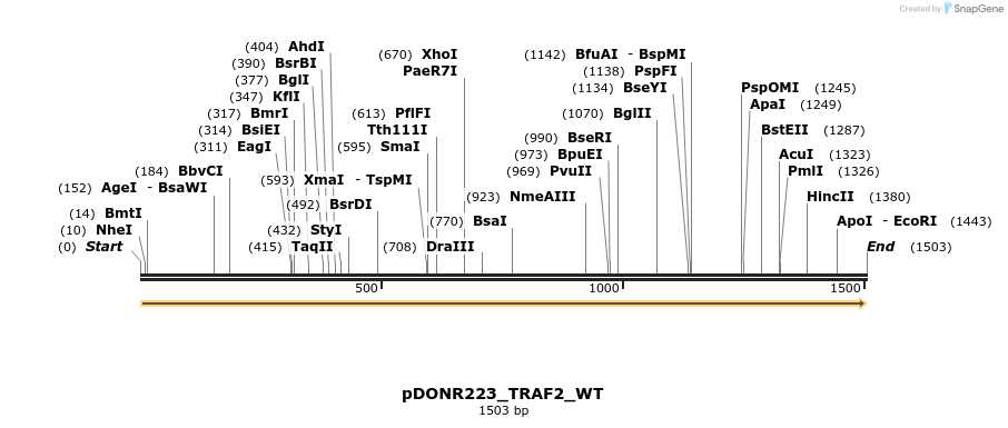 155610_map