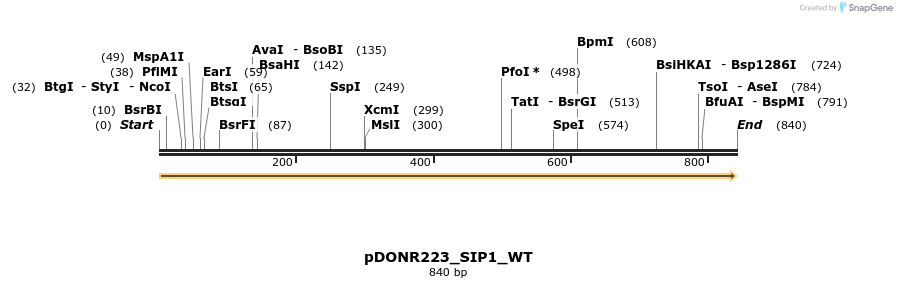 155612_map