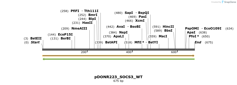 155616_map
