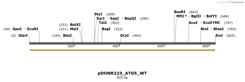 155617_map
