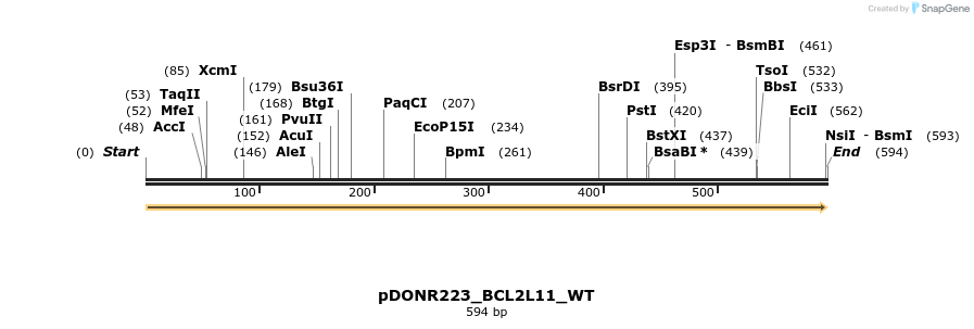 155620_map