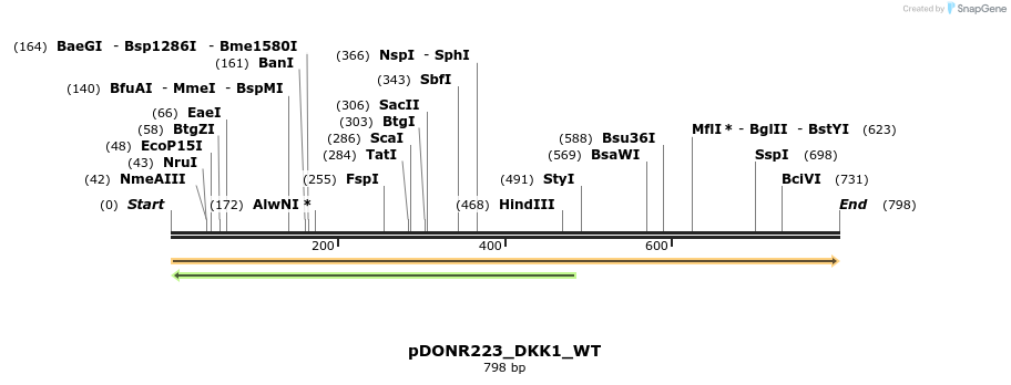 155621_map