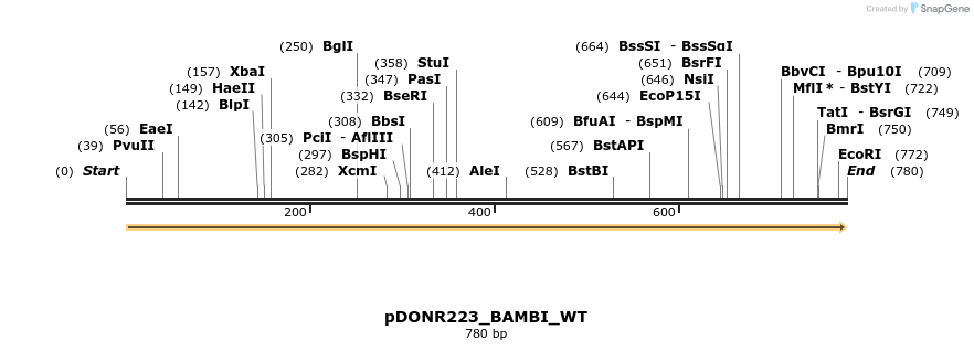 155623_map