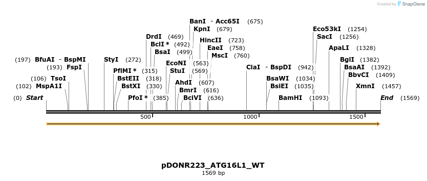 155626_map