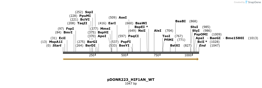 155627_map