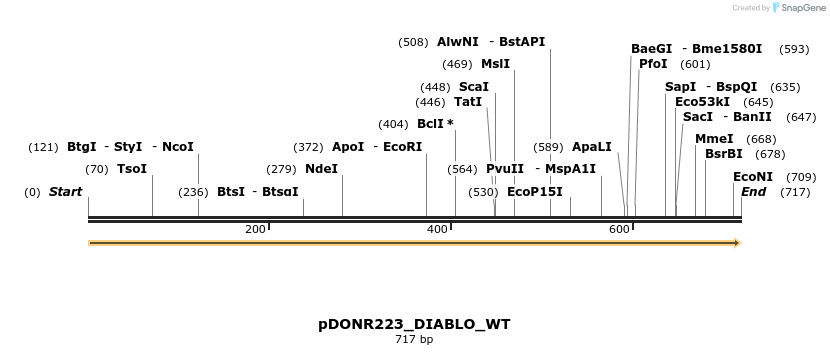 155628_map