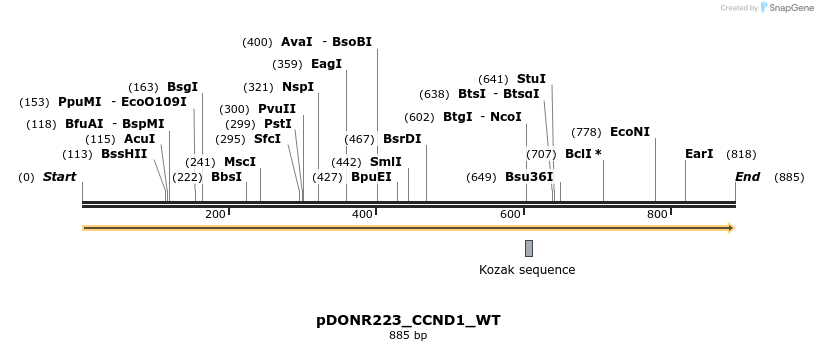 155633_map