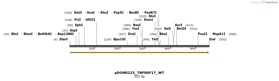 155634_map