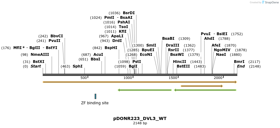 155638_map