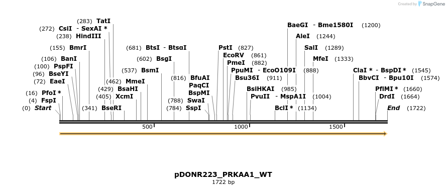 155645_map