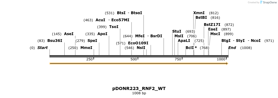 155648_map