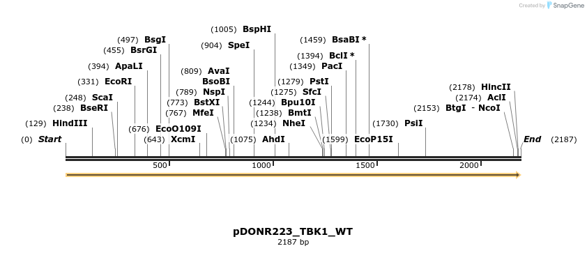 155656_map