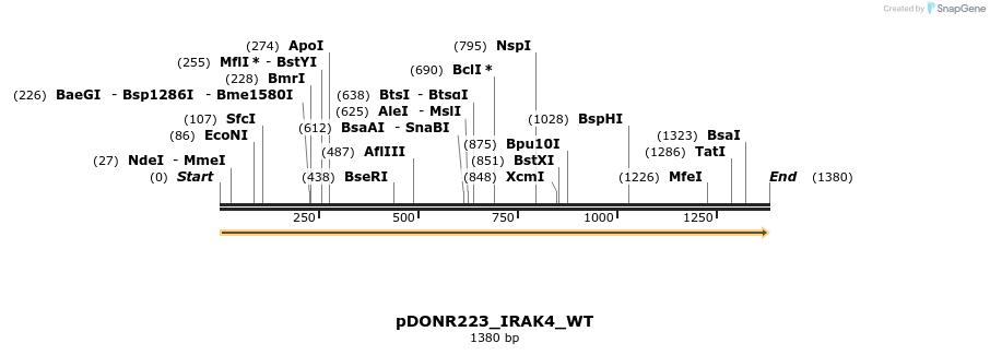 155657_map