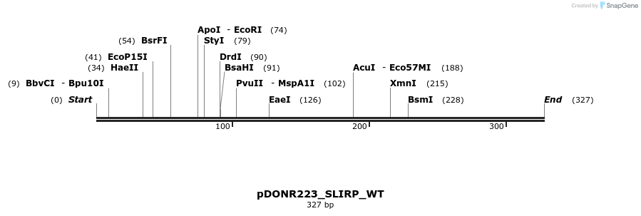 155659_map