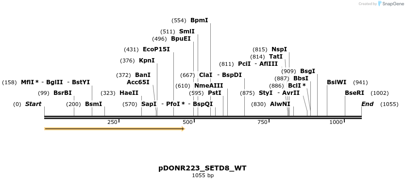 155661_map