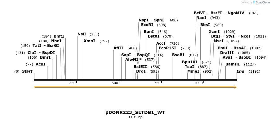 155662_map