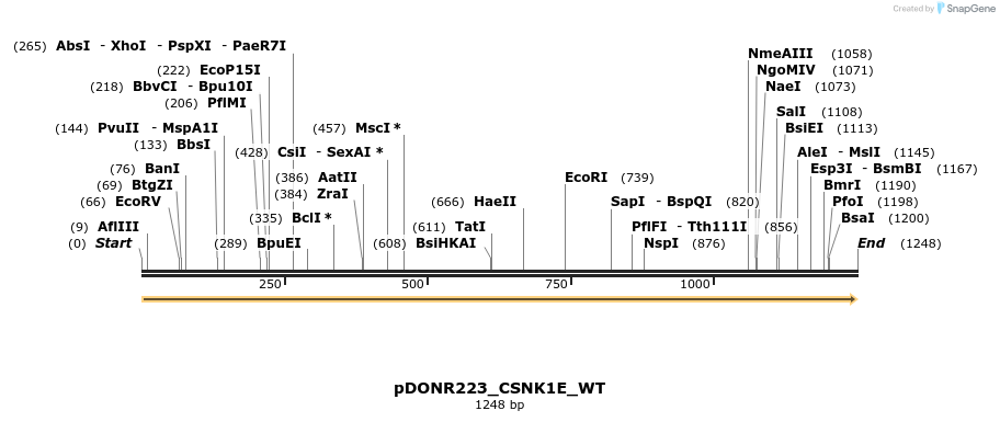 155670_map