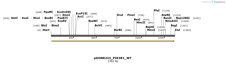155681_map