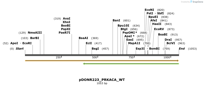 155682_map