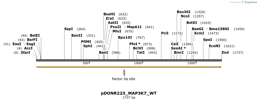 155692_map