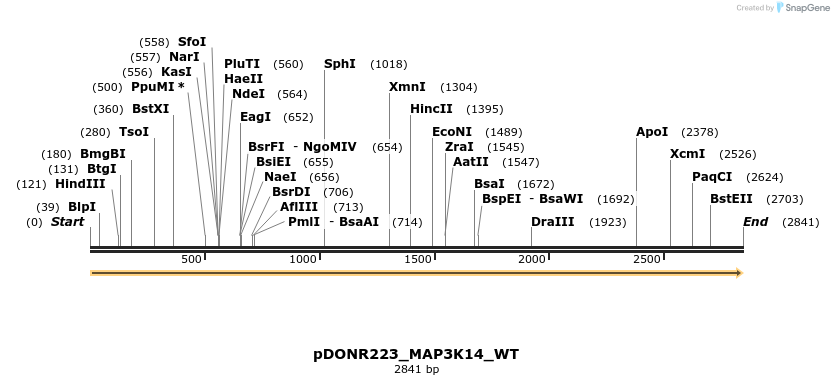 155693_map