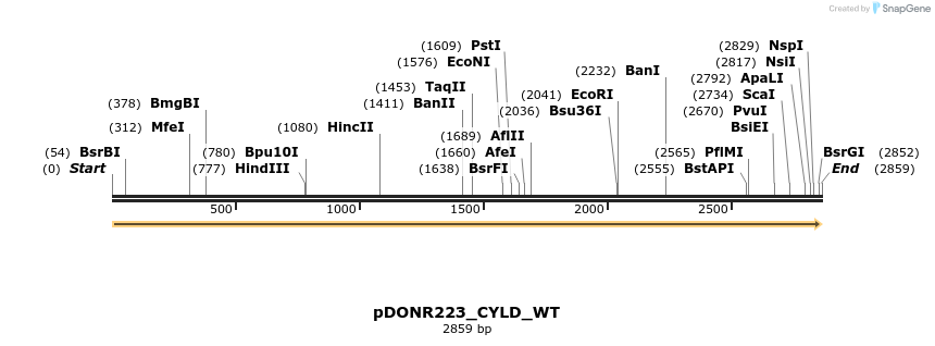 155697_map