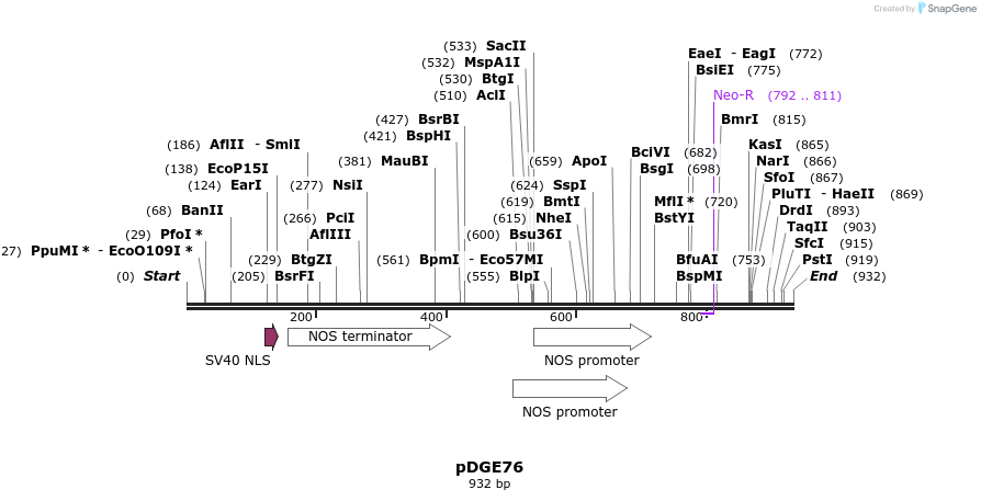 155703_map