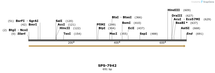 155706_map
