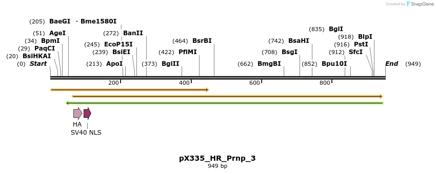 155707_map