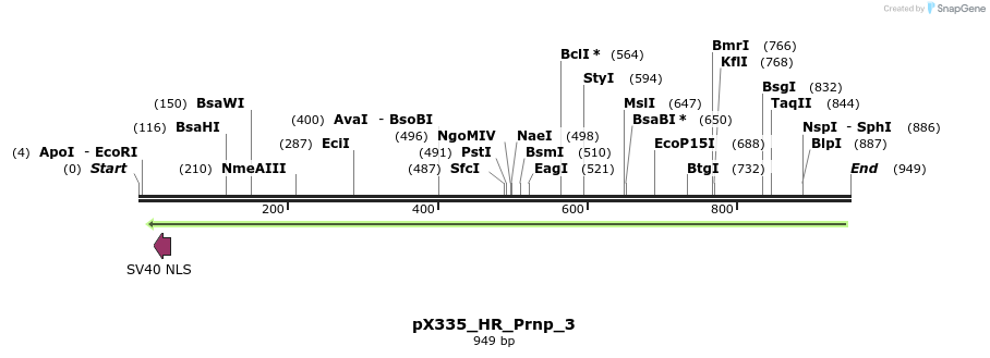 155708_map