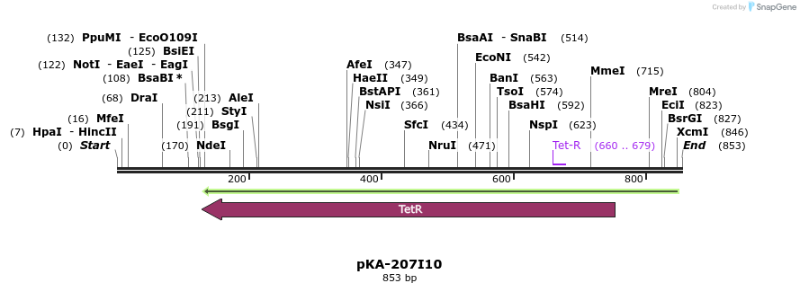 155711_map