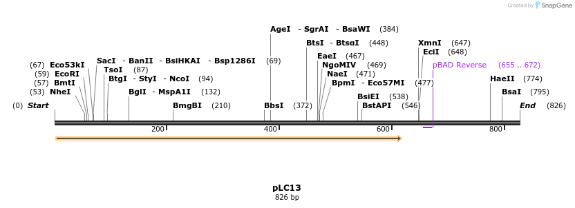 155712_map