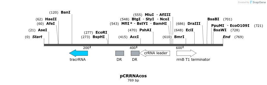155714_map