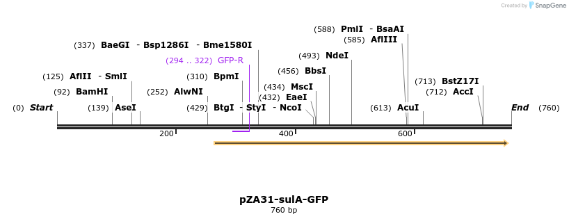 155716_map