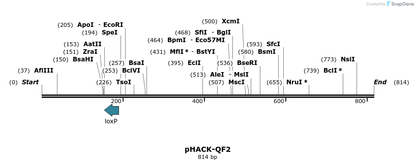 155719_map