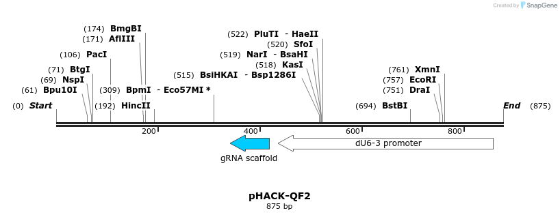 155720_map
