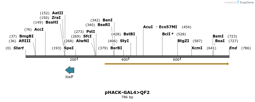 155721_map