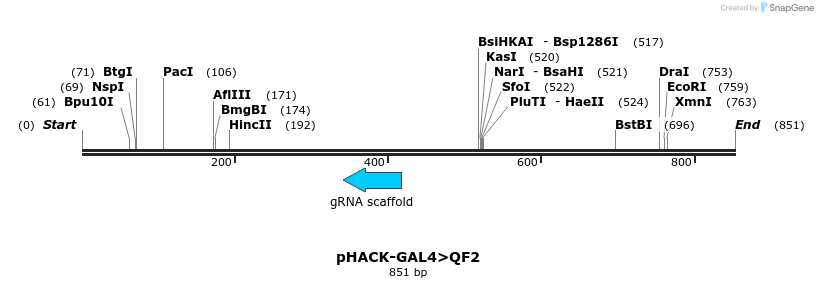 155722_map