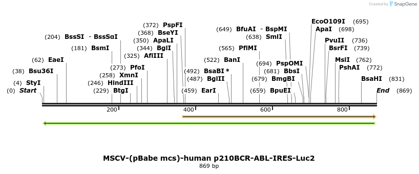 155732_map