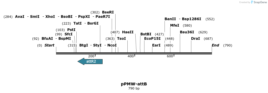 155734_map