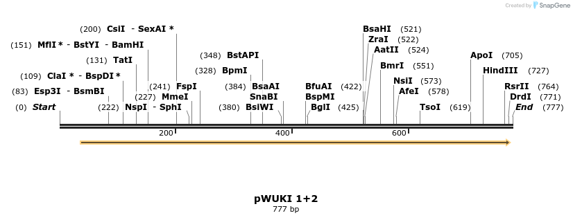 155735_map