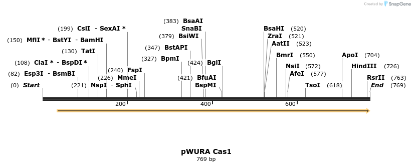 155742_map