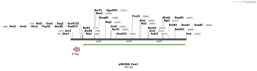 155743_map