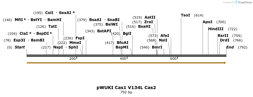 155754_map